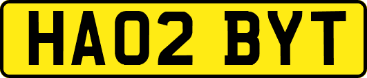 HA02BYT