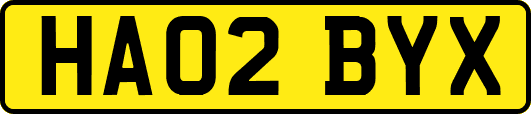HA02BYX