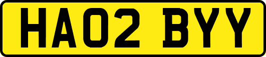 HA02BYY