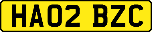 HA02BZC