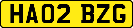 HA02BZG