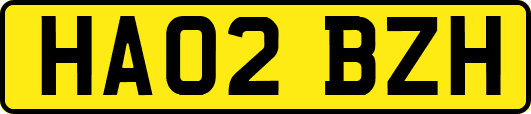 HA02BZH