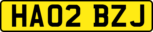 HA02BZJ