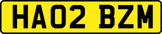 HA02BZM