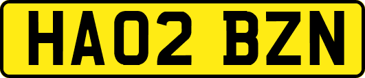 HA02BZN