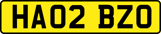 HA02BZO