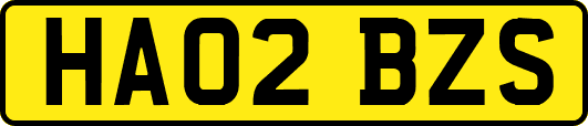 HA02BZS
