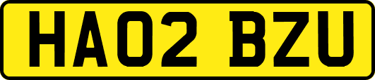 HA02BZU