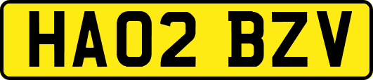 HA02BZV