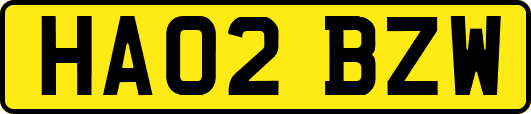 HA02BZW