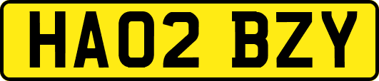 HA02BZY