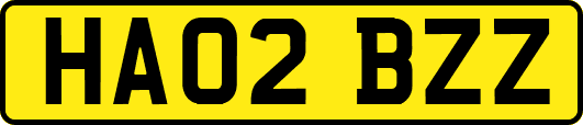 HA02BZZ