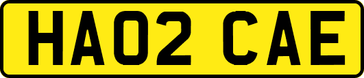 HA02CAE