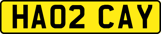 HA02CAY
