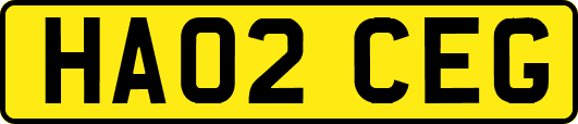 HA02CEG