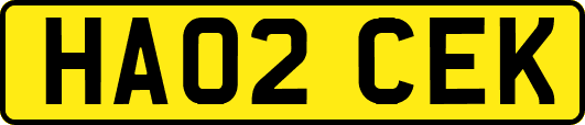 HA02CEK