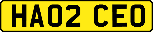 HA02CEO