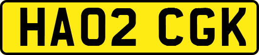 HA02CGK