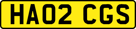 HA02CGS