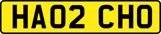 HA02CHO