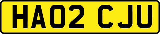 HA02CJU