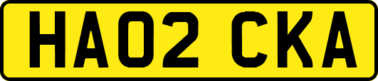 HA02CKA