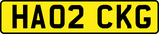 HA02CKG