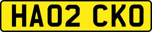 HA02CKO