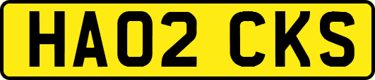 HA02CKS