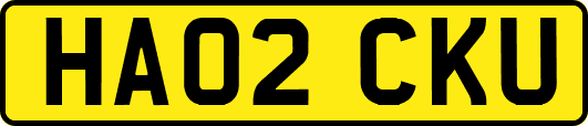 HA02CKU