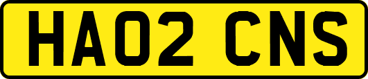 HA02CNS