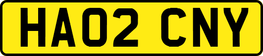 HA02CNY