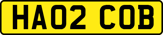 HA02COB