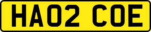 HA02COE
