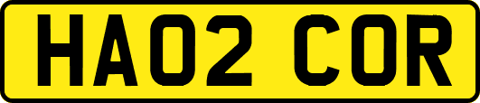 HA02COR