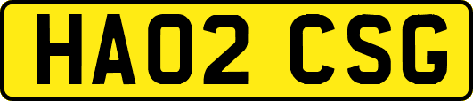 HA02CSG