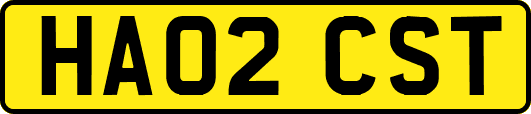 HA02CST