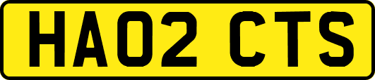 HA02CTS