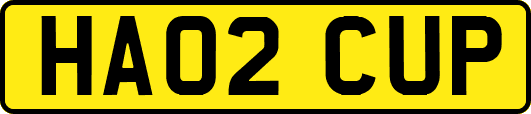 HA02CUP