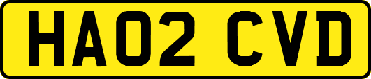 HA02CVD