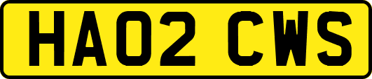 HA02CWS