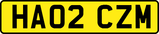 HA02CZM