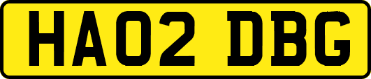 HA02DBG