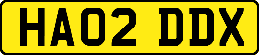 HA02DDX