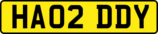 HA02DDY