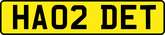 HA02DET