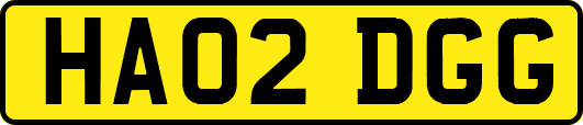 HA02DGG