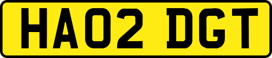 HA02DGT