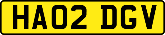 HA02DGV