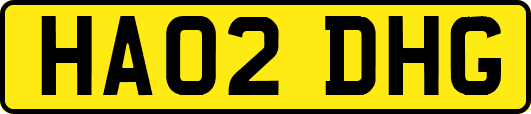 HA02DHG